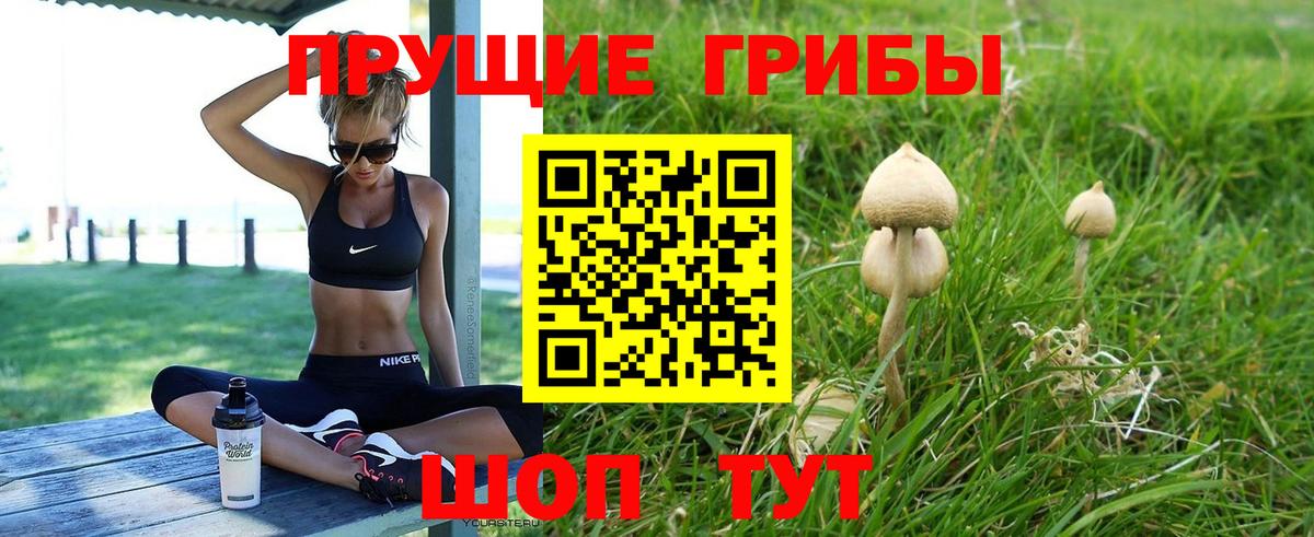 Галлюциногенные грибы Psilocybine cubensis  Вход с VPN  Дивногорск 