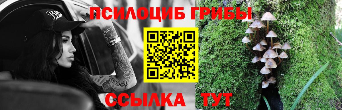 Псилоцибиновые грибы мухоморы Дивногорск